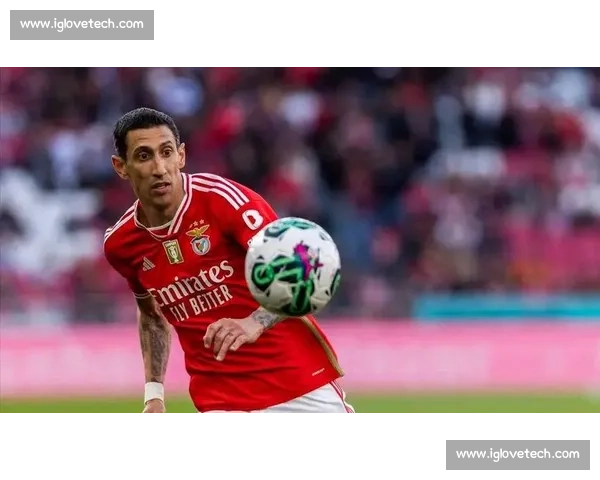 本菲卡球迷赴美观赛遭拒签 损失近 8000 元梦碎世俱杯